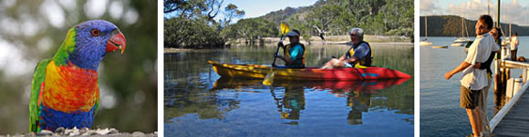 Scotland Island Lodge Activities in Pittwater